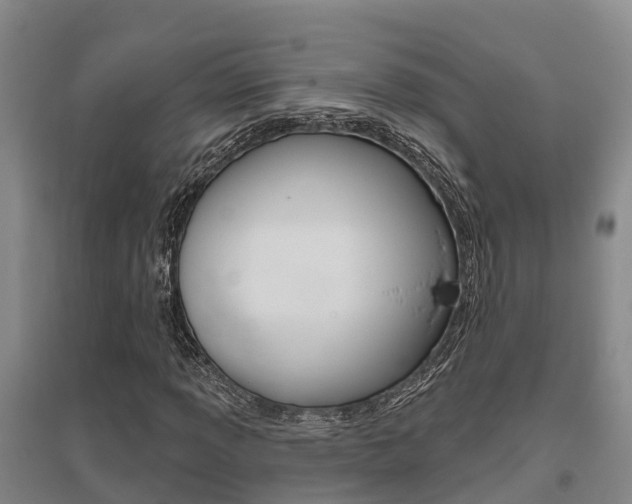 X0000095931013200801110913