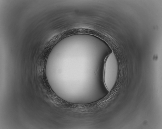X0000095931014200801110913