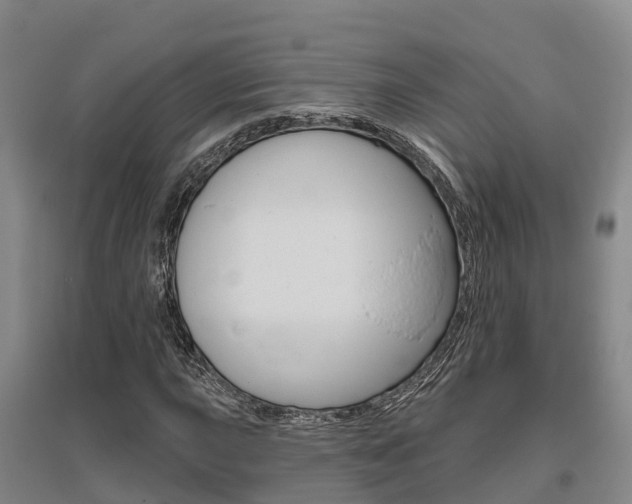 X0000095931015200801110913