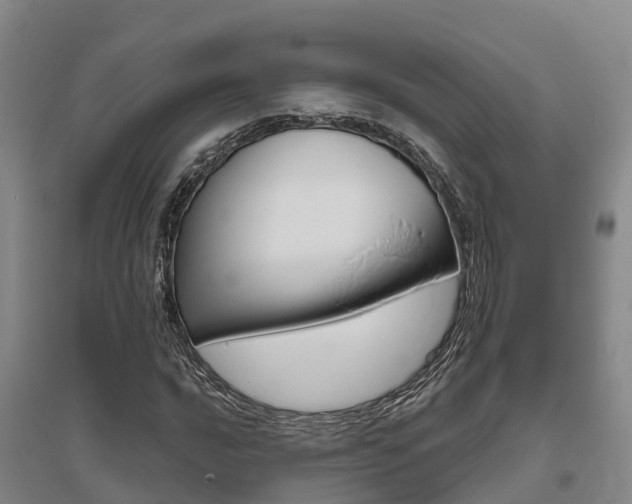 X0000095931016200801110913