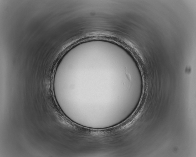 X0000095931017200801110913