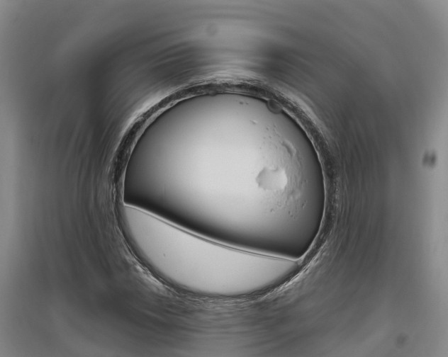 X0000095931018200801110913