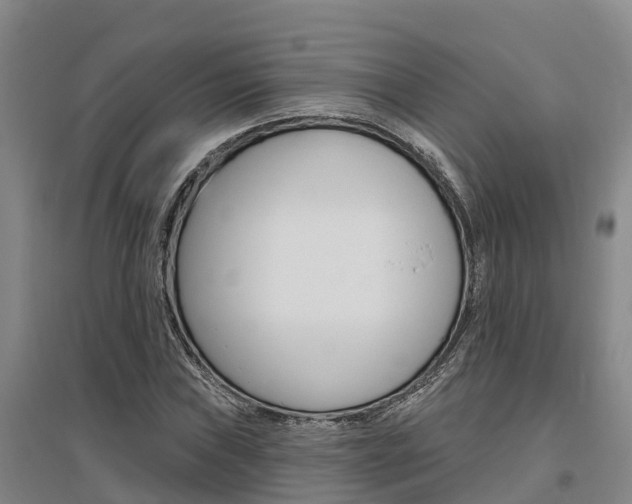 X0000095931019200801110913