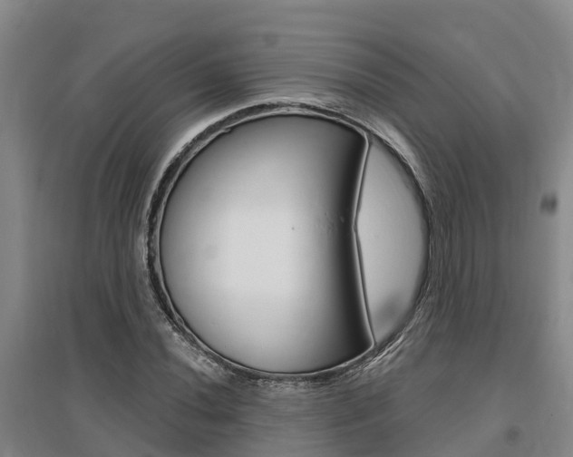 X0000095931020200801110913