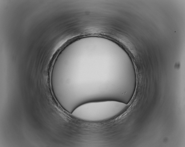 X0000095931023200801110913