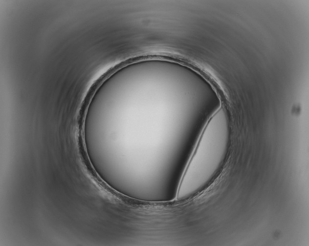 X0000095931024200801110913