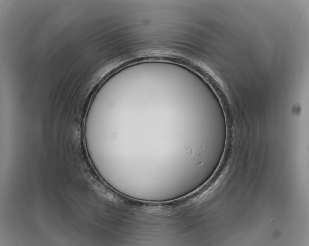 X0000095931025200801110913