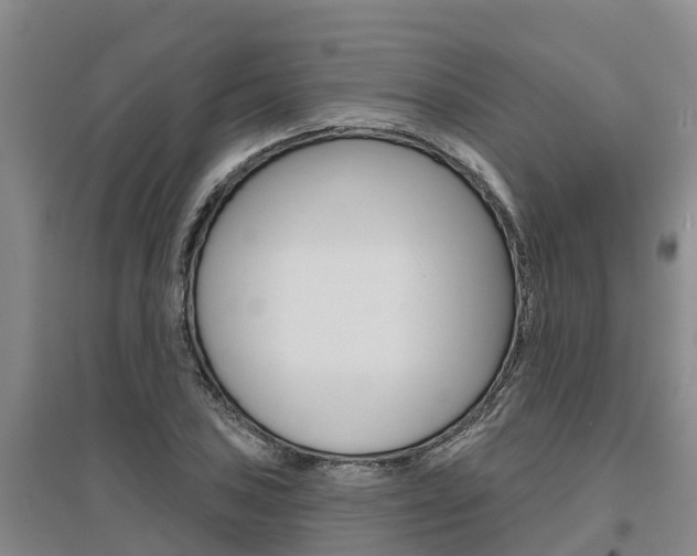 X0000095931027200801110913