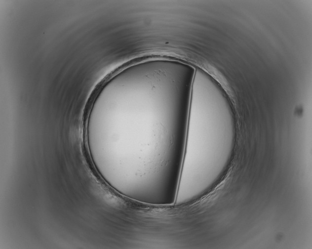 X0000095931028200801110913