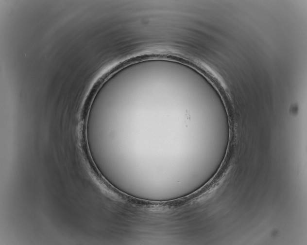 X0000095931029200801110913
