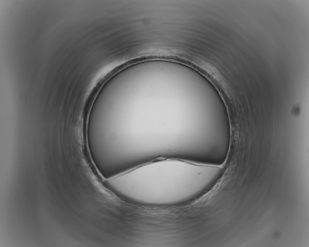 X0000095931030200801110913