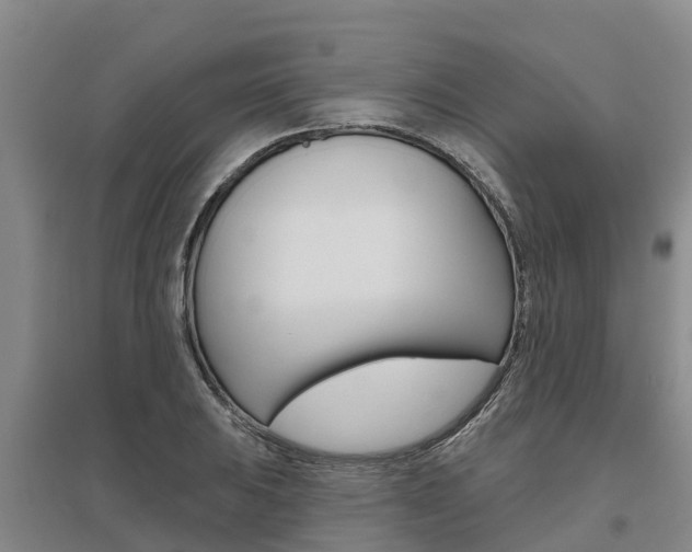 X0000095931031200801110913