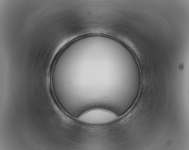 X0000095931032200801110913