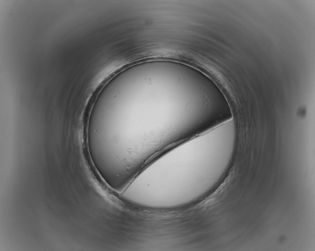 X0000095931034200801110913