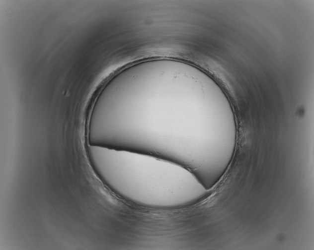 X0000095931035200801110913