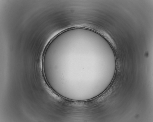 X0000095931036200801110913
