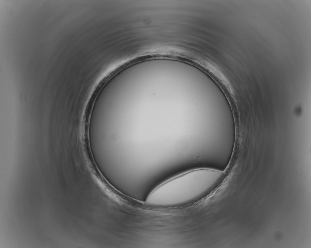 X0000095931037200801110913
