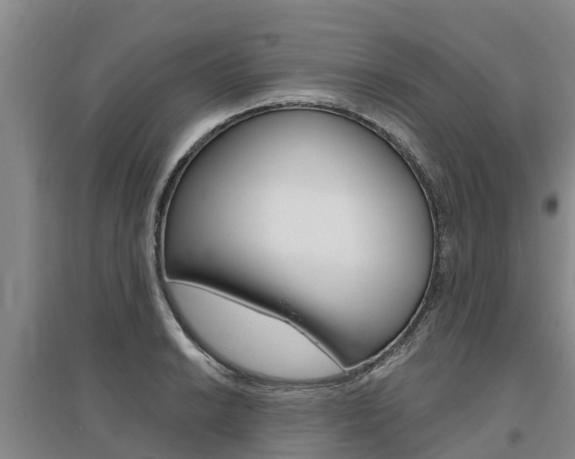 X0000095931038200801110913