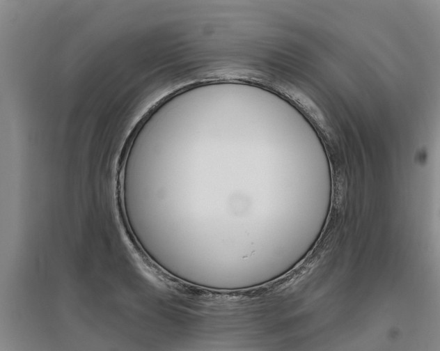 X0000095931039200801110913