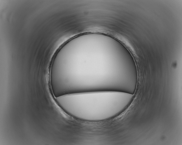 X0000095931040200801110913