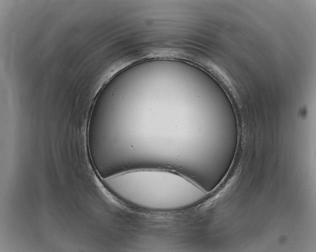 X0000095931041200801110913