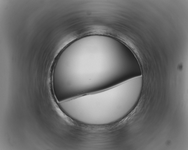 X0000095931042200801110913
