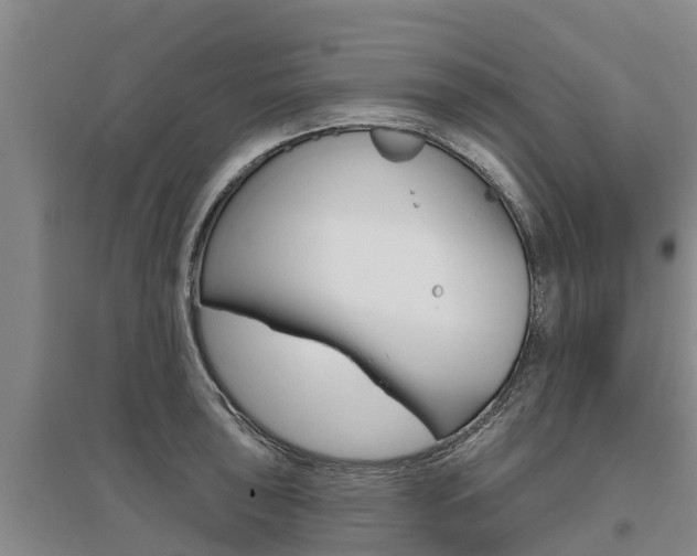 X0000095931043200801110913