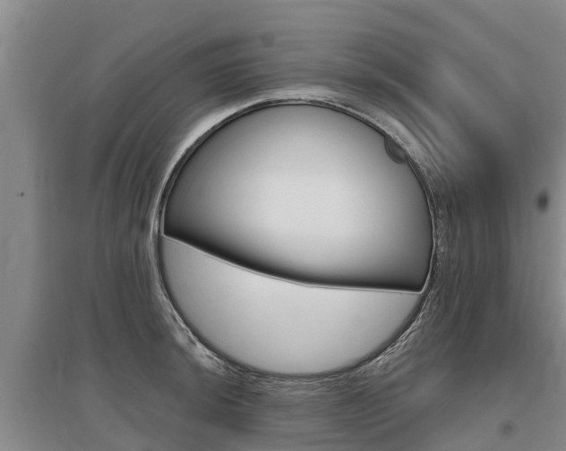X0000095931044200801110913