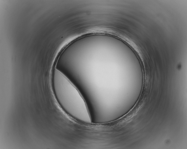 X0000095931045200801110913
