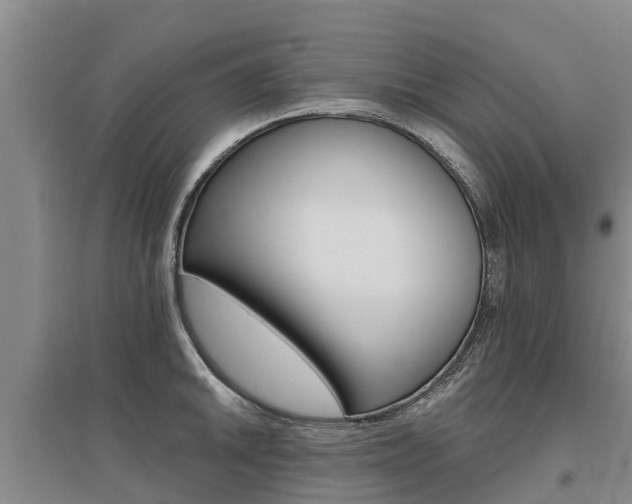 X0000095931046200801110913
