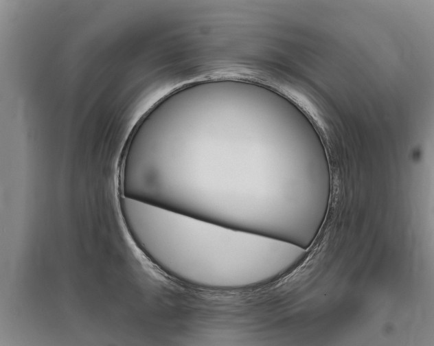 X0000095931047200801110913