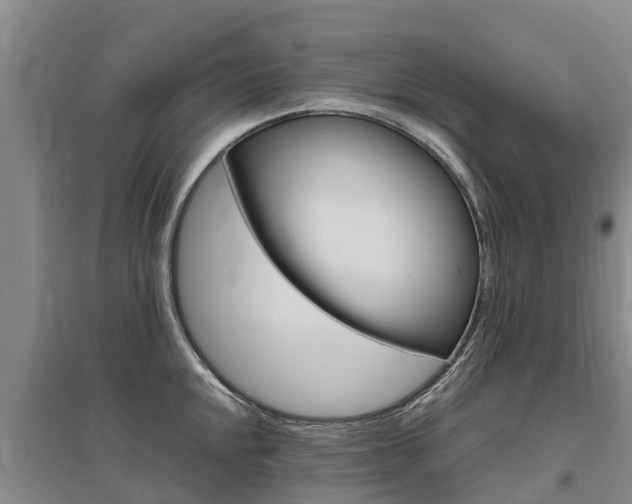 X0000095931048200801110913