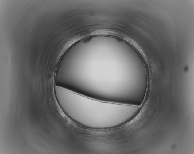 X0000095931049200801110913