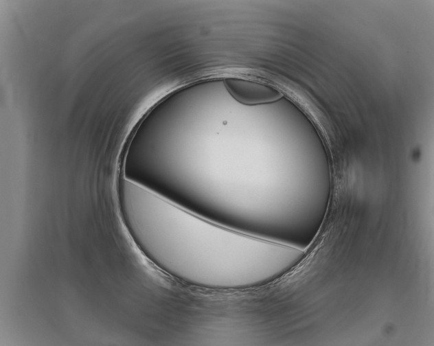 X0000095931050200801110913