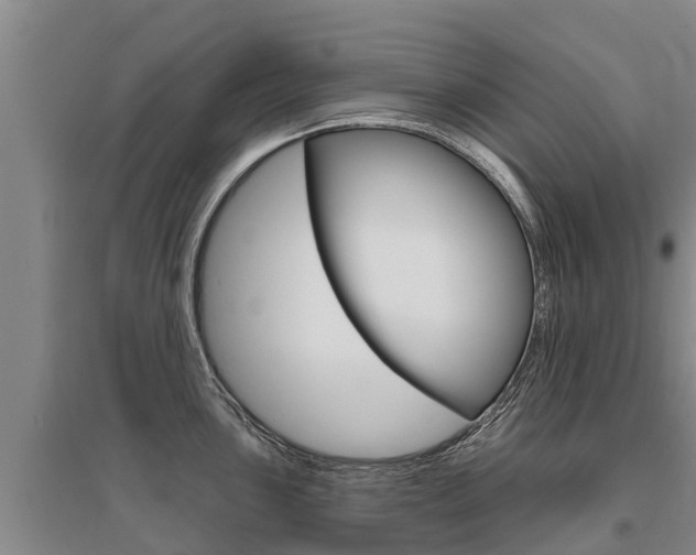 X0000095931051200801110913
