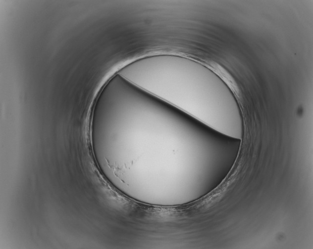 X0000095931052200801110913