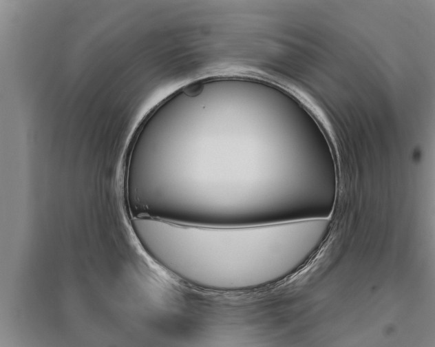 X0000095931053200801110913
