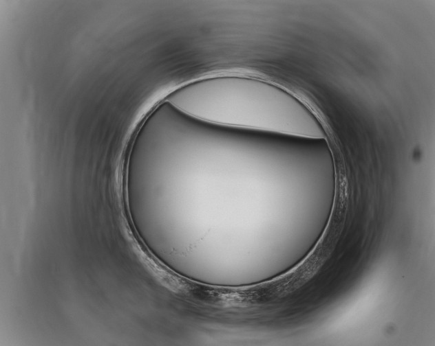 X0000095931054200801110913
