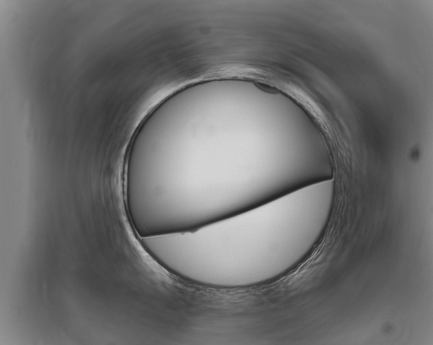 X0000095931055200801110913