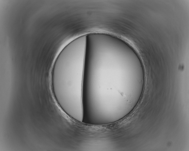 X0000095931056200801110913