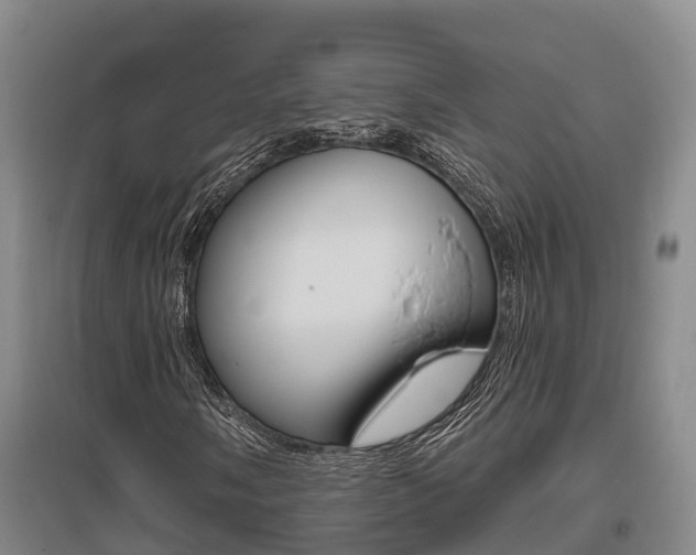X0000095931058200801110913