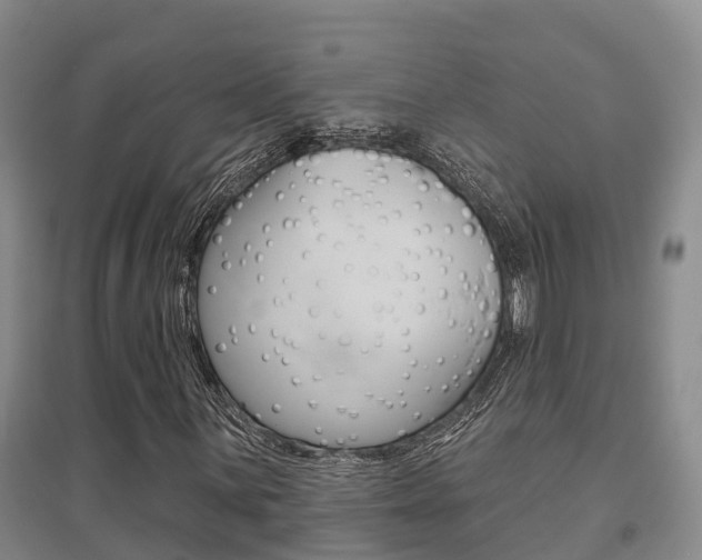X0000095931059200801110913
