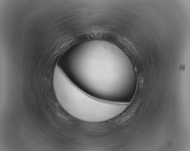 X0000095931060200801110913