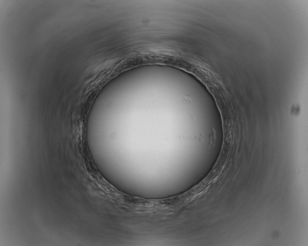 X0000095931061200801110913