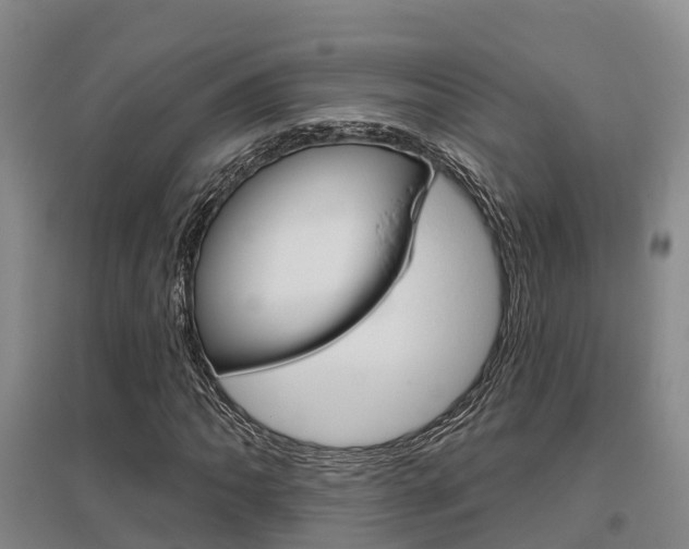 X0000095931062200801110913