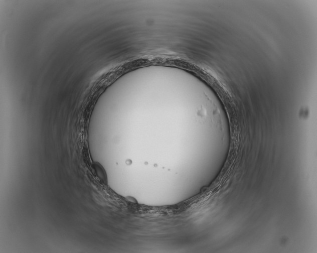 X0000095931063200801110913