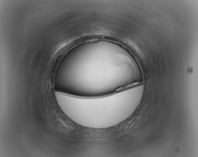 X0000095931064200801110913