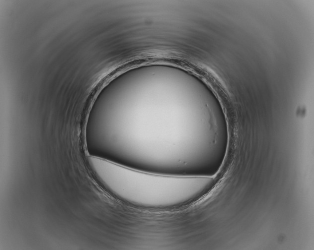 X0000095931065200801110913