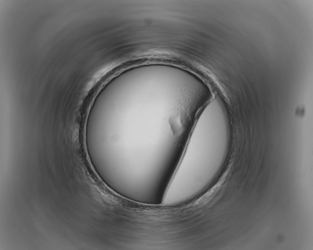 X0000095931066200801110913