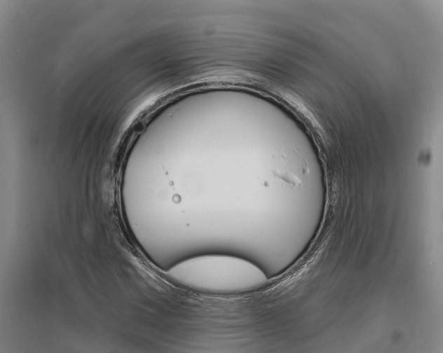 X0000095931067200801110913
